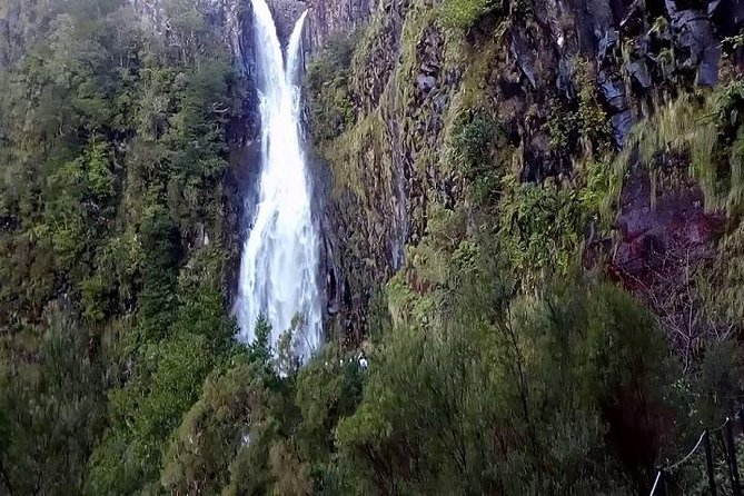 Funchal Private and Customizable VIP Tour  - Madeira - Pickup Locations and Times