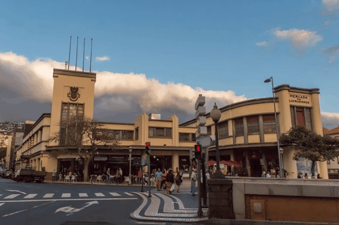 Funchal : Private Custom Tour With a Local Guide - Meeting Point and Transportation