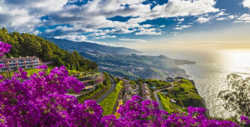 Funchal: Private Guided Cabo Girão Tour - Itinerary and Highlights