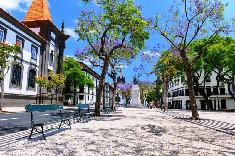 Funchal: Private Guided Tour on a Tuktuk - Customer Feedback