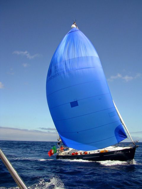 Funchal: Private Half Day Sailing Cruises - Potential Sailing Destinations