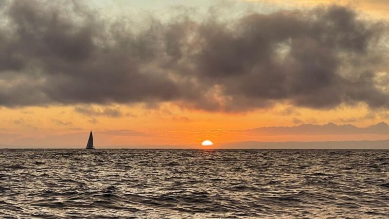 Funchal: Private Sailing Sunrise, Sunset & Moonlight Cruises - Customer Reviews and Feedback