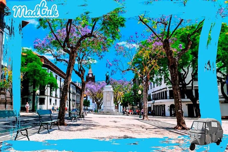 Funchal: Private Tuk-Tuk Tour of Madeira With Local Guide - Key Points