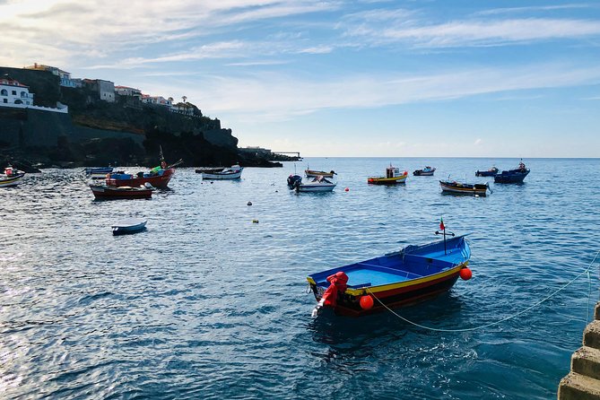 Funchal Private Vehicle Service With Driver for a Half Day or Full Day - Pricing and Additional Fees