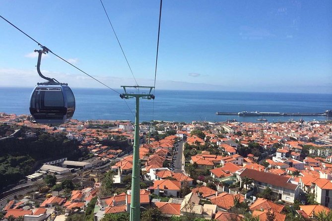 Funchal Private Vehicle Service With Driver for a Half Day or Full Day - Service Recommendations