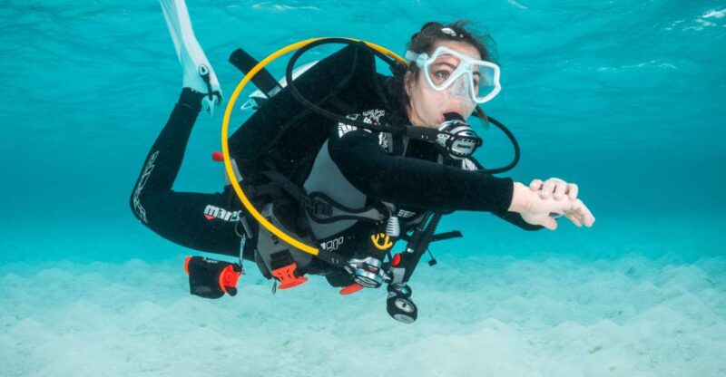 Funchal: Scuba Diving Experience for Beginners - Pricing and Booking
