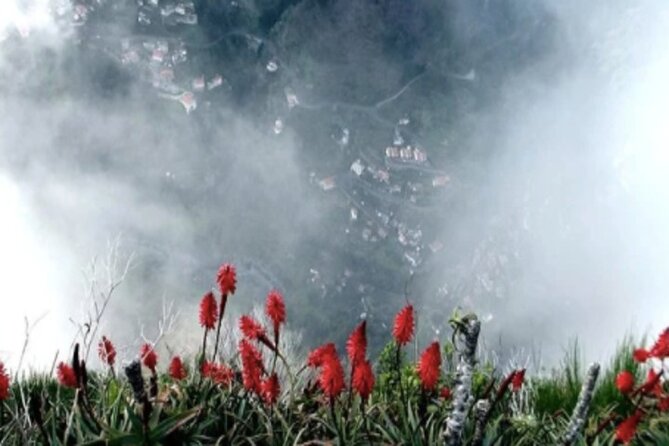 Funchal Shore Excursion:Private Stunning and Scenic Nuns Valley Tour - Flexibility for Children and Families