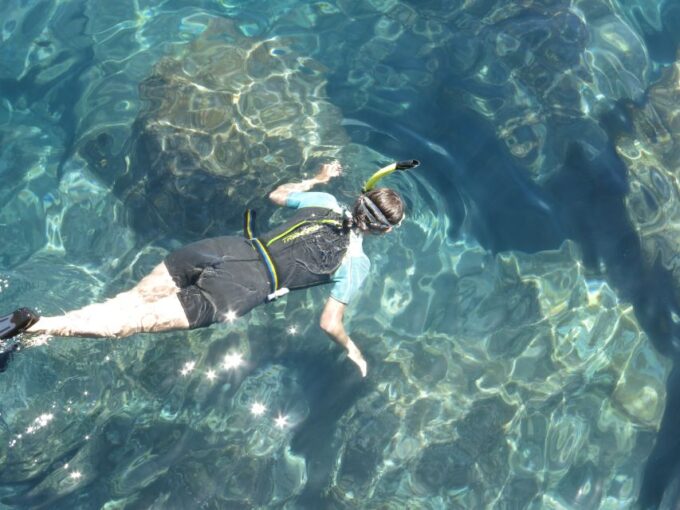 Funchal: Snorkeling Adventure in the Eco-Park - Frequently Asked Questions