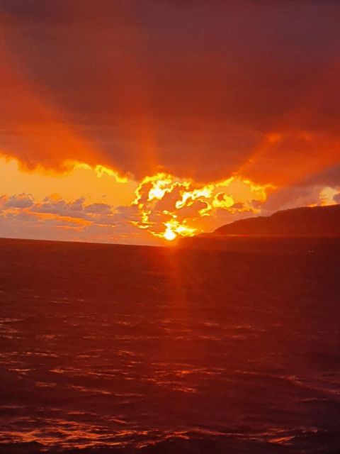 Funchal: Thrilling Speedboat Tour - Madeira Sparkling Waters - Eco-Friendly Tours: Marine Life Priority