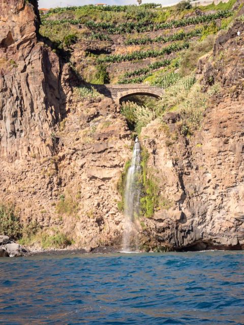 Funchal: Thrilling Speedboat Tour - Madeira Sparkling Waters - Knowledgeable Guides: Intriguing Tales and Facts