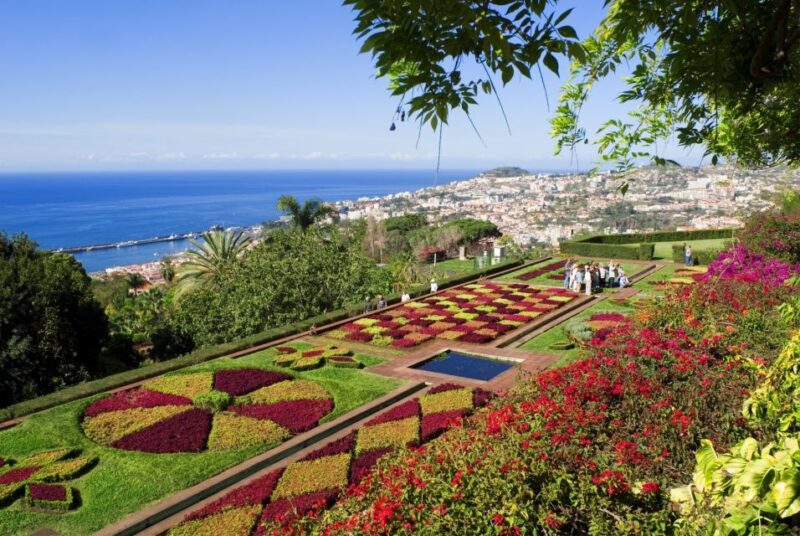 Funchal Tour and Câmara De Lobos Tour - Customer Reviews and Feedback