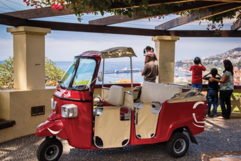Funchal Viewpoints: 90-Minute Guided Tuk Tuk Tour - Key Points