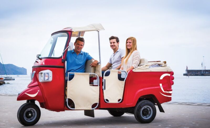 Funchal Viewpoints: 90-Minute Guided Tuk Tuk Tour - Inclusions and Logistics