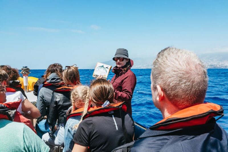 Funchal: Whale and Dolphin Watching Speed Boat Tour - Booking Information