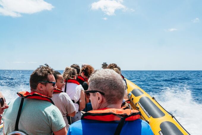 Funchal: Whale and Dolphin Watching Speed Boat Tour - Customer Feedback