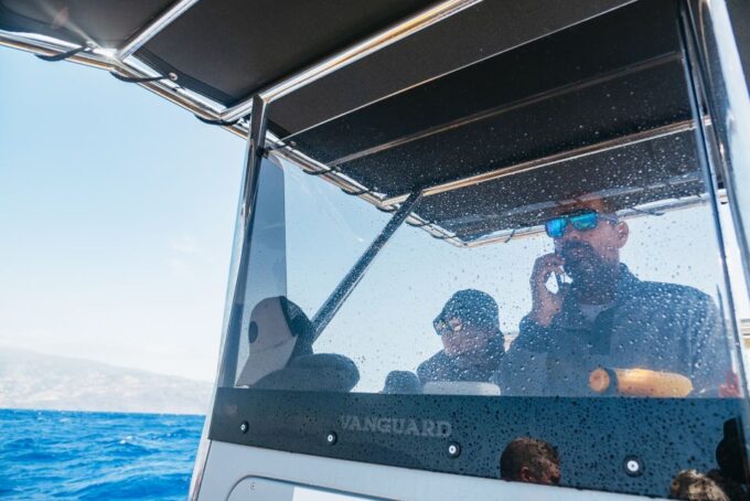 Funchal: Whale and Dolphin Watching Speed Boat Tour - Meeting Point and Duration