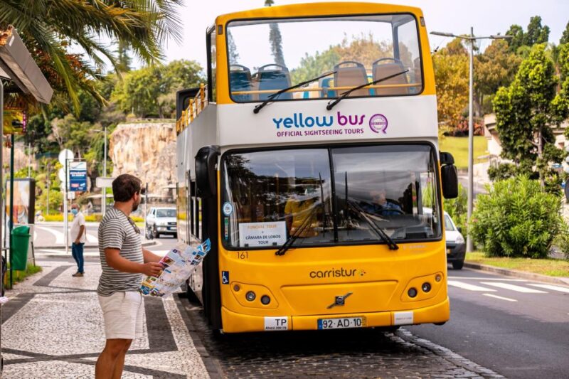 Funchal:Hop-On Hop-Off Bus & Whale & Dolphin Boat Excursion - Experience and Activities