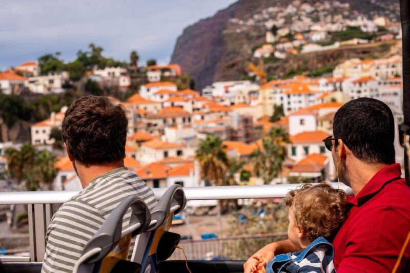 Funchal:Hop-On Hop-Off Bus & Whale & Dolphin Boat Excursion - Transportation and Meeting Points