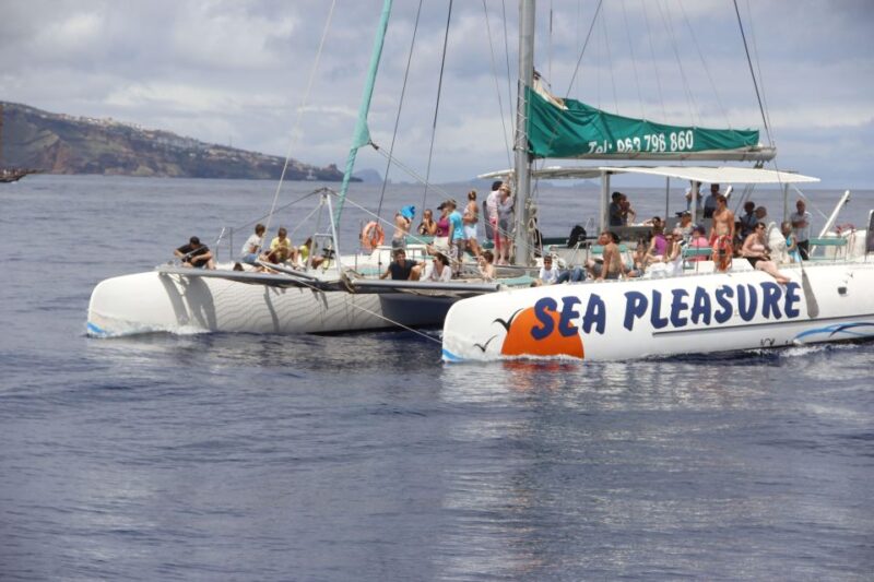 Funchal:Hop-On Hop-Off Bus & Whale & Dolphin Boat Excursion - Experience and Activities