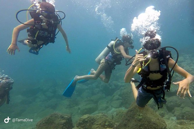 Fundive Catalina Islands (2 Dives Only for Certified Divers) - Included in the Experience