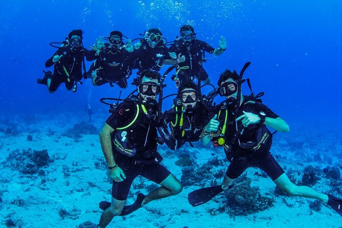 Fundiving in Cozumel - by Ferry - 2 Tanks in the Wonderful Caribbean Sea - Booking Information and Cancellation Policy
