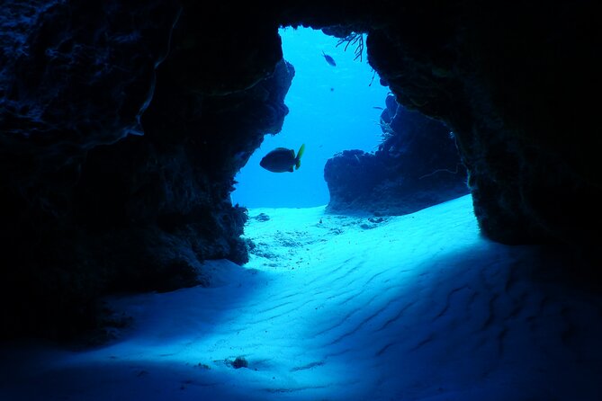 Fundiving in Cozumel - by Ferry - 2 Tanks in the Wonderful Caribbean Sea - Ratings and Reviews