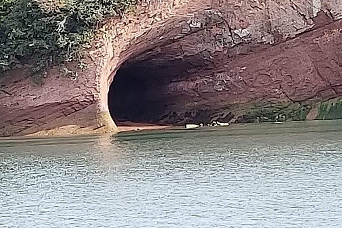 Fundy Coast to Fundy Shore Tour - Meeting and Pickup