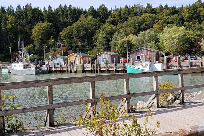 Fundy Coast to Fundy Shore Tour - Guest Requirements
