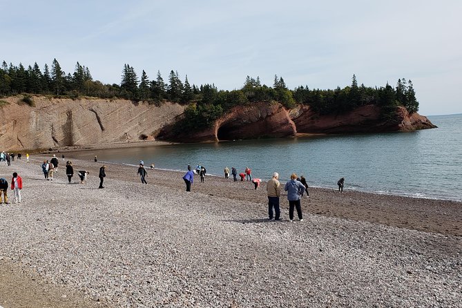 Fundy Coast to Fundy Shore Tour - Group Size