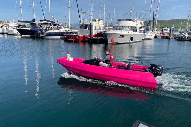 Funky Pink Self Drive Boats - Discover the Dingle Marina and Aquarium