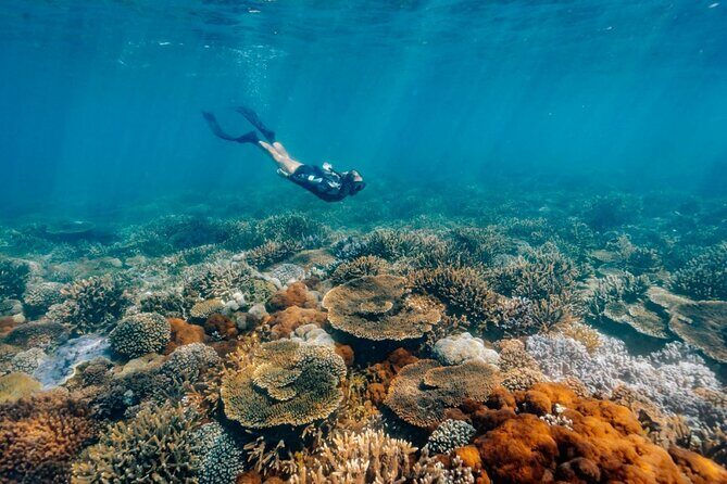 Funtastic Kraken Keppel Island Day Trip and Snorkelling Adventure - Suitability and Who Should Book