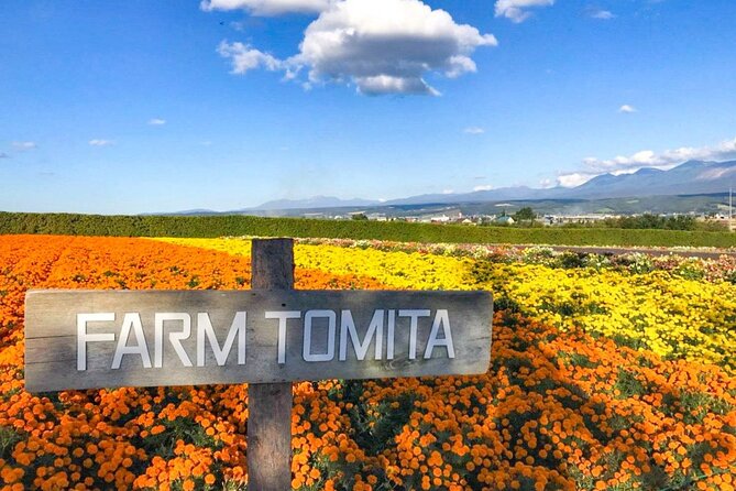 Furano & Biei 4 Hour Tour: English Speaking Driver Only, No Guide - English-speaking Driver, No Guide