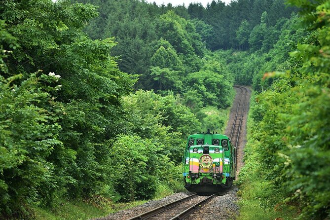 Furano & Biei 4 Hour Tour: English Speaking Driver Only, No Guide - Weather-related Cancellations and Rescheduling