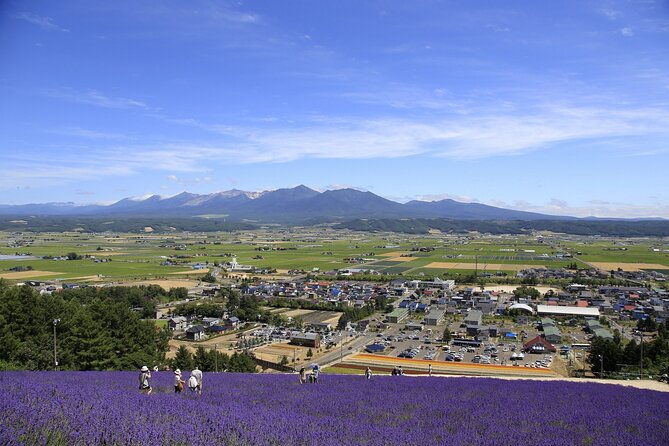 Furano, Biei & Blue Pond Full-Day Private Tour (Up to 21 Pax) - Inclusions
