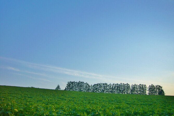 Furano Biei Tour Sapporo DEP: English Speaking Driver, No Guide - Exclusions