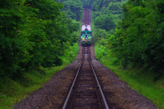 Furano Biei Tour Sapporo DEP: English Speaking Driver, No Guide - Furano and Biei Attractions