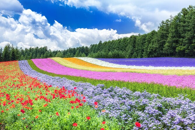Furano Private Customizable Half Day Tour - Passport and Age Verification
