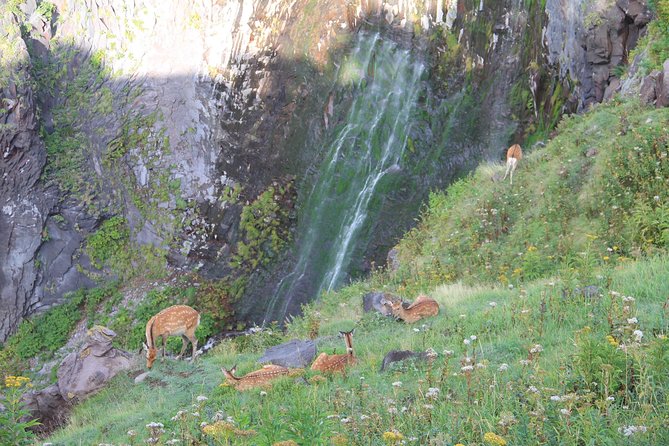 Furepe Waterfall Nature Walk - Highlights of the Furepe Waterfall