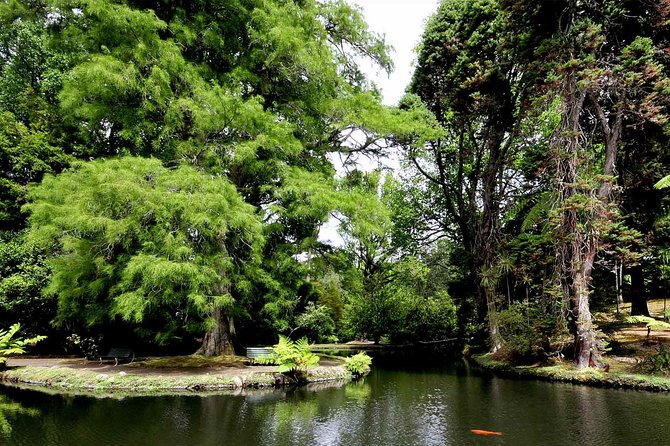 Furnas and Terra Nostra Botanic Park Guided Tour W/ Hotsprings - Recommended Attire