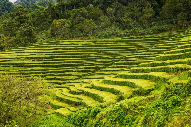 Furnas Hot Springs Full-day Tour - Coastal Sights and Beach