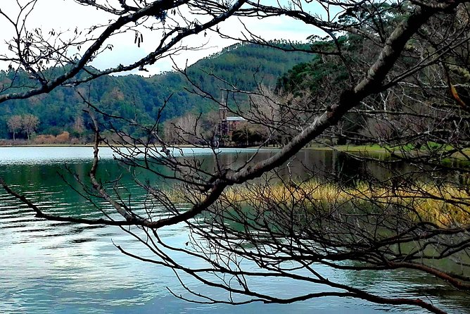 Furnas Lake Hotsprings and Gardens Van Tour - Immerse in Botanical Gardens