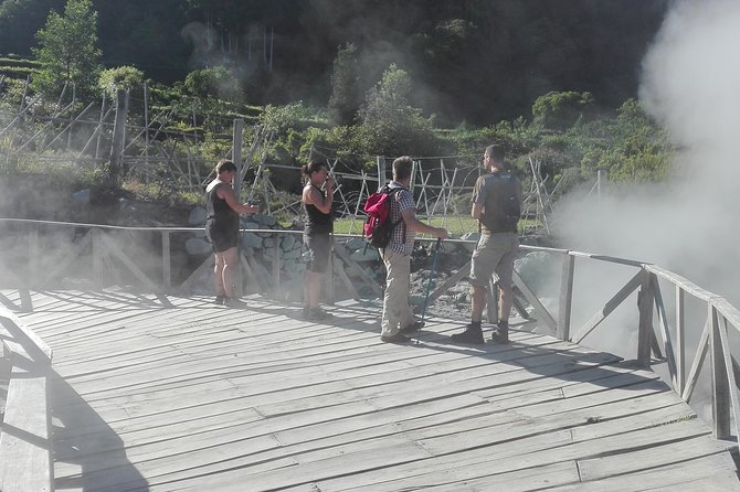 Furnas Lake Hotsprings and Gardens Van Tour - Tour a Premium Tea Plantation