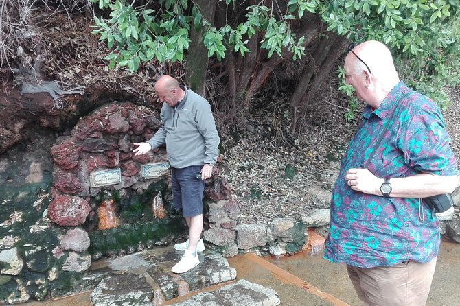 Furnas Lake Hotsprings and Gardens Van Tour - Convenient Transportation and Logistics