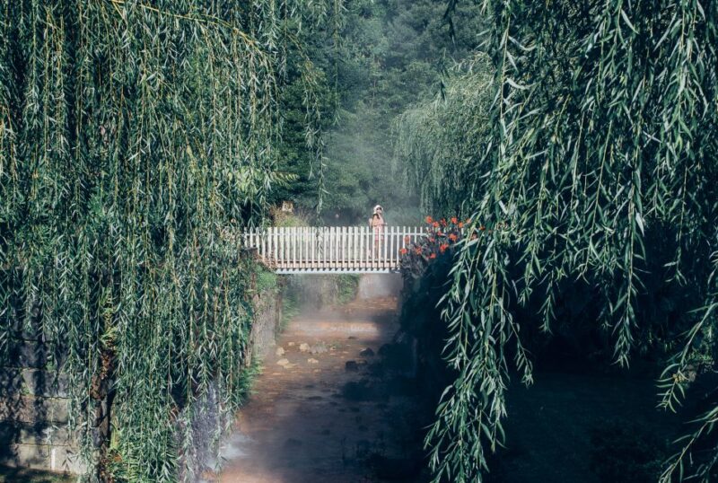 Furnas: Night-Time Experience With Thermal Baths and Dinner - Tour Details