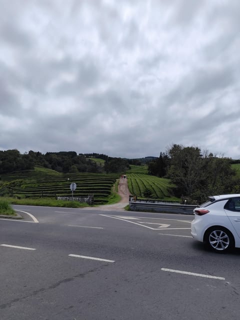 Furnas Private Tour - Itinerary Highlights