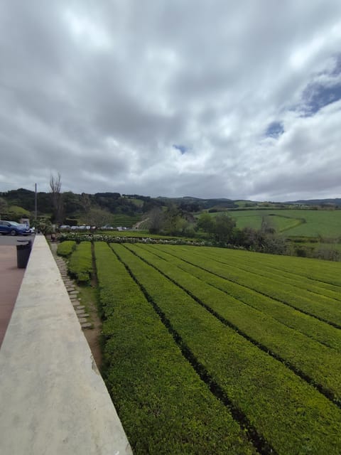 Furnas Private Tour - Santa Iria Viewpoint