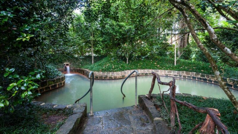 Furnas & Terra Nostra Botanic Park Guided Tour W/ Hotsprings - Itinerary Highlights