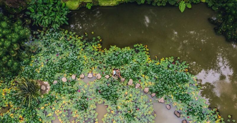 Furnas & Terra Nostra Botanic Park Guided Tour W/ Hotsprings - Experience and Attractions