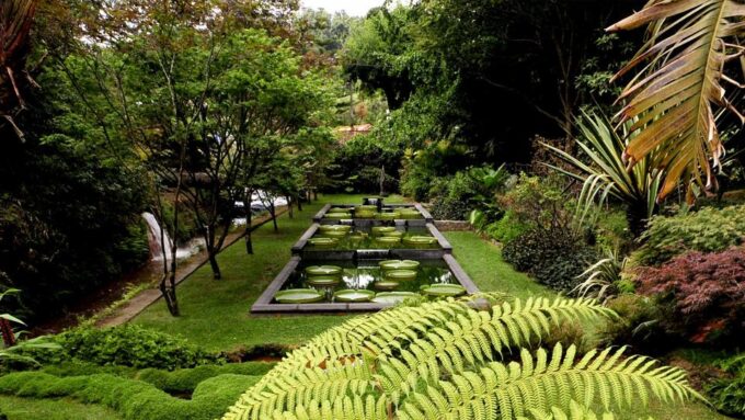 Furnas & Terra Nostra Botanic Park Guided Tour W/ Hotsprings - Accessibility