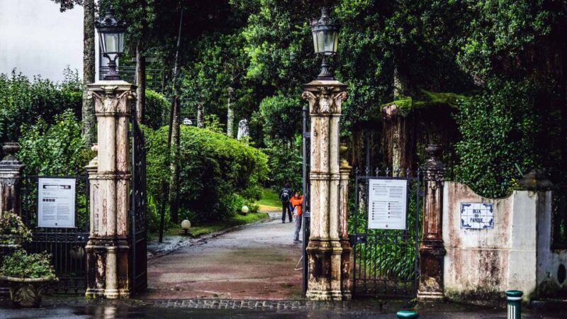 Furnas & Terra Nostra Botanic Park Guided Tour W/ Hotsprings - Included in the Tour